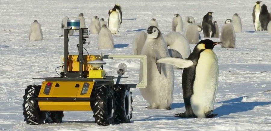 Le 7 professioni più insolite al mondo